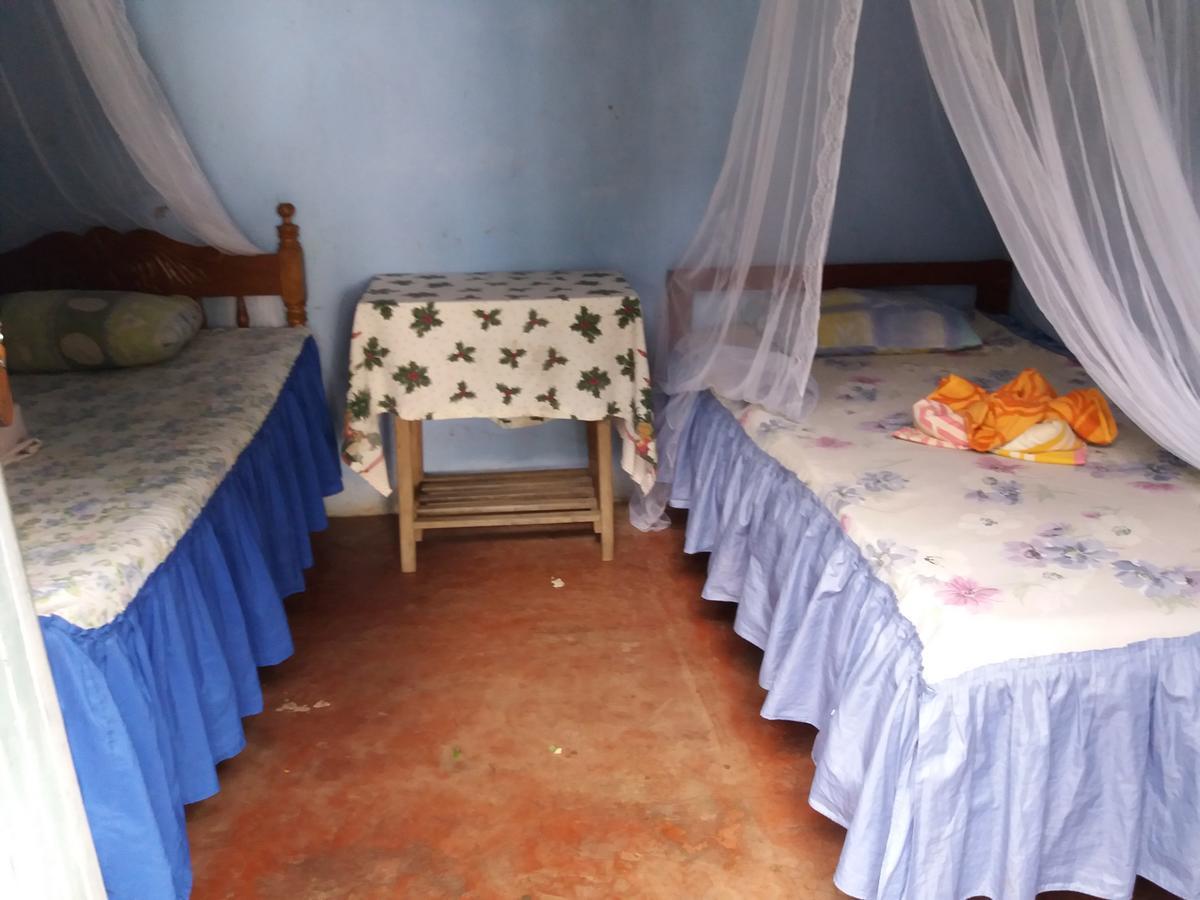 Hostal La Gloria Merida Bagian luar foto